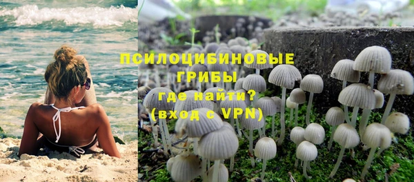 прущие крисы Новокубанск
