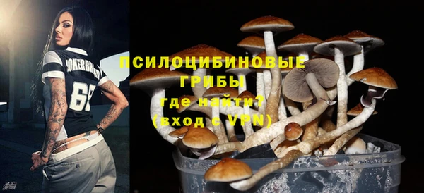 первитин Новозыбков