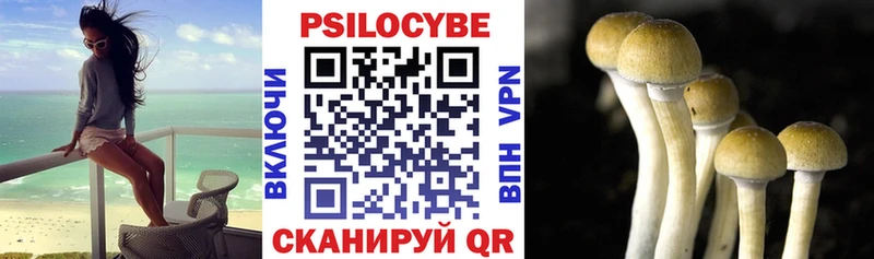 Псилоцибиновые грибы мицелий  магазин продажи   Курильск 